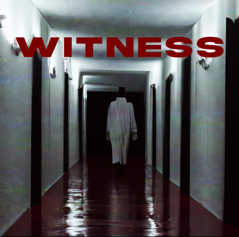 envyral - WITNESS [Multi Kit]